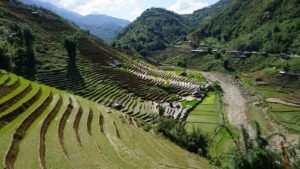 Terraced rice fields filling a mountain valley near Sapa