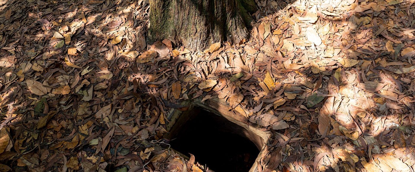 Hidden entrance to the Cu Chi Tunnels