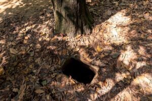 Hidden entrance to the Cu Chi Tunnels