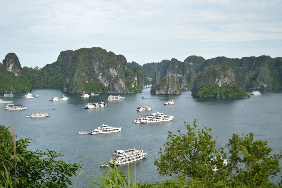 Cruise boats in Ha Long Bay seen from Titop Island