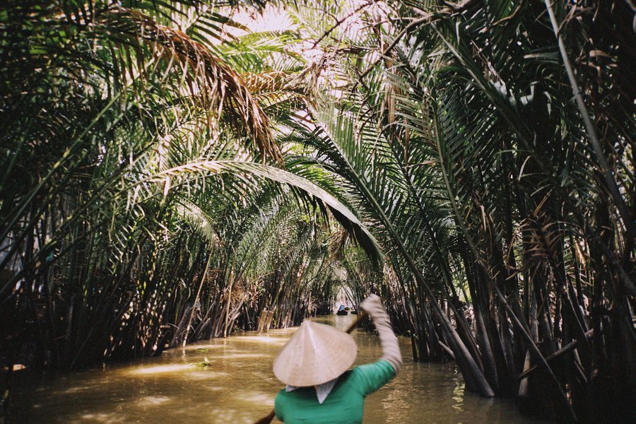 Boat passing through water-coconut palms in the Mekong Delta