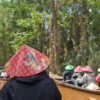 Rowing boat in the Mekong Delta, southern Vietnam
