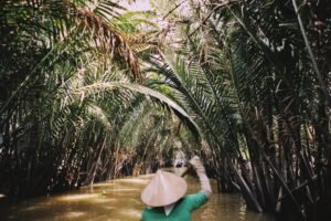 Sampan boat among water coconut palms in the Mekong Delta