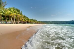 Beach lined with coconut palms, Phu Quoc