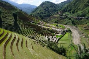 Rice terraces in a valley in Sapa