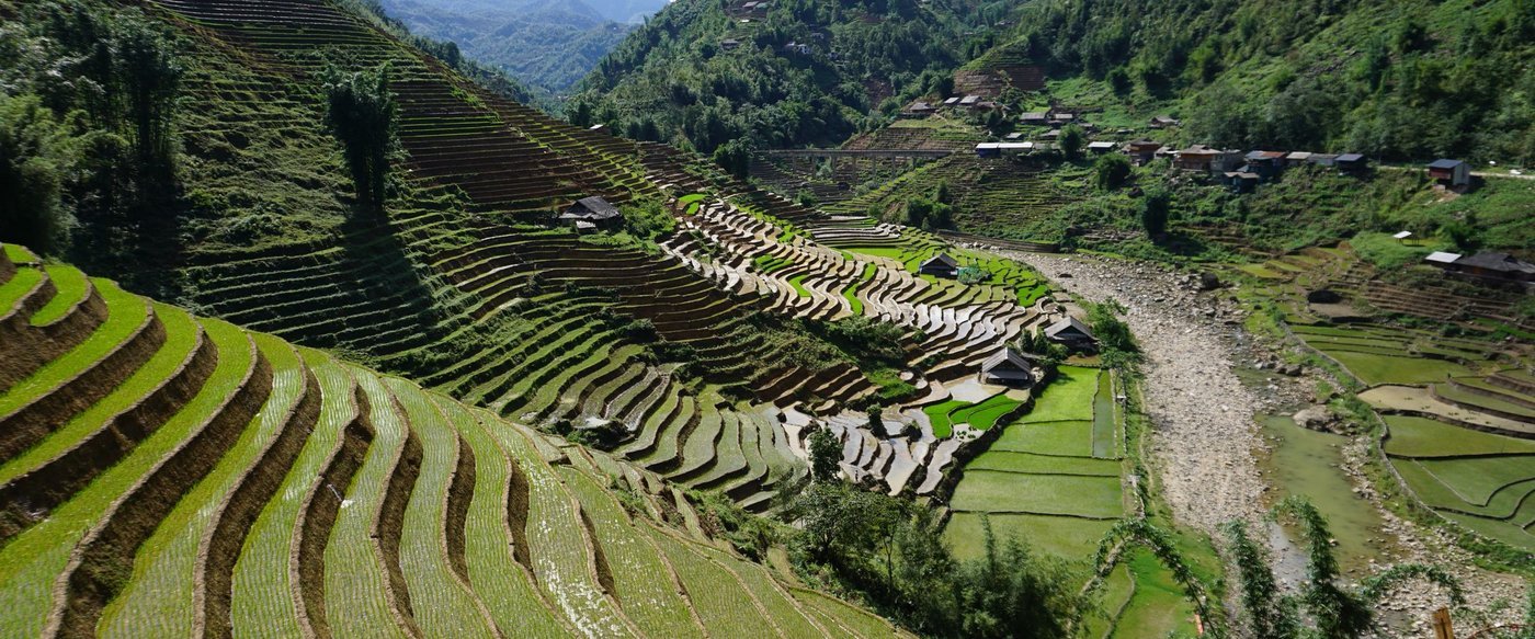 Rice terraces in the valley below Sapa